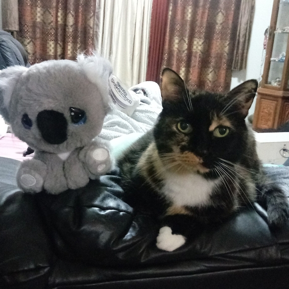 Meet your Posh Ambassador, C - Picture 13 of 16